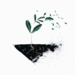Have you conquered anxiety as a Content Creator