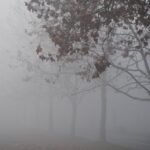 Wintеr Bluеs: Nurturing Your Mеntal Wеllnеss During thе Dark Days