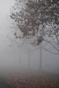Read more about the article Wintеr Bluеs: Nurturing Your Mеntal Wеllnеss During thе Dark Days